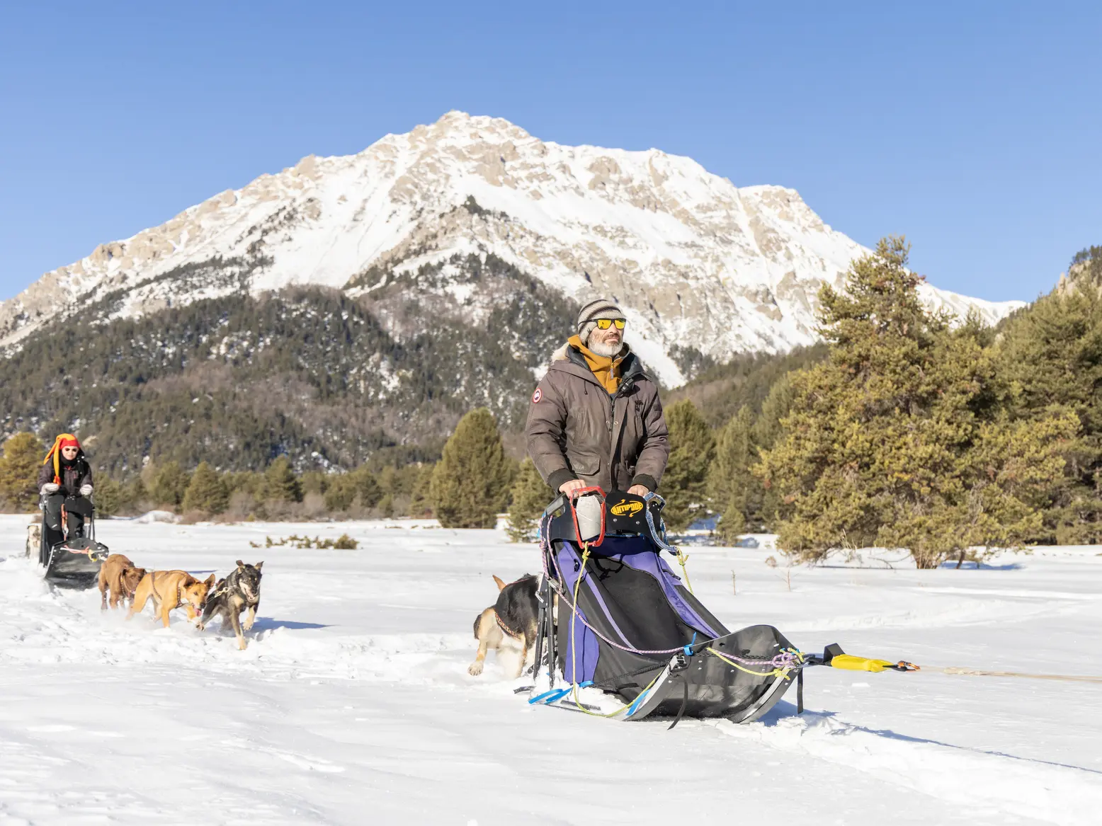 Conduite attelage chiens de traineaux - Nevache