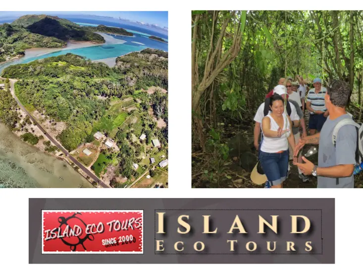 Island Eco-Tours