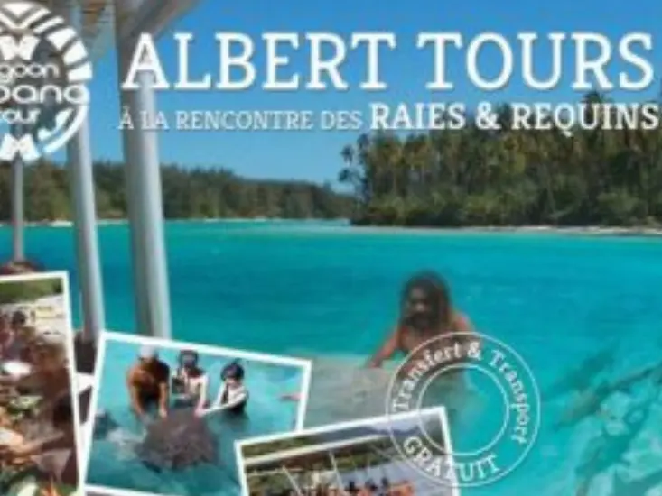 Albert Tours : Excursion Moana Lagoon & Motu Picnic