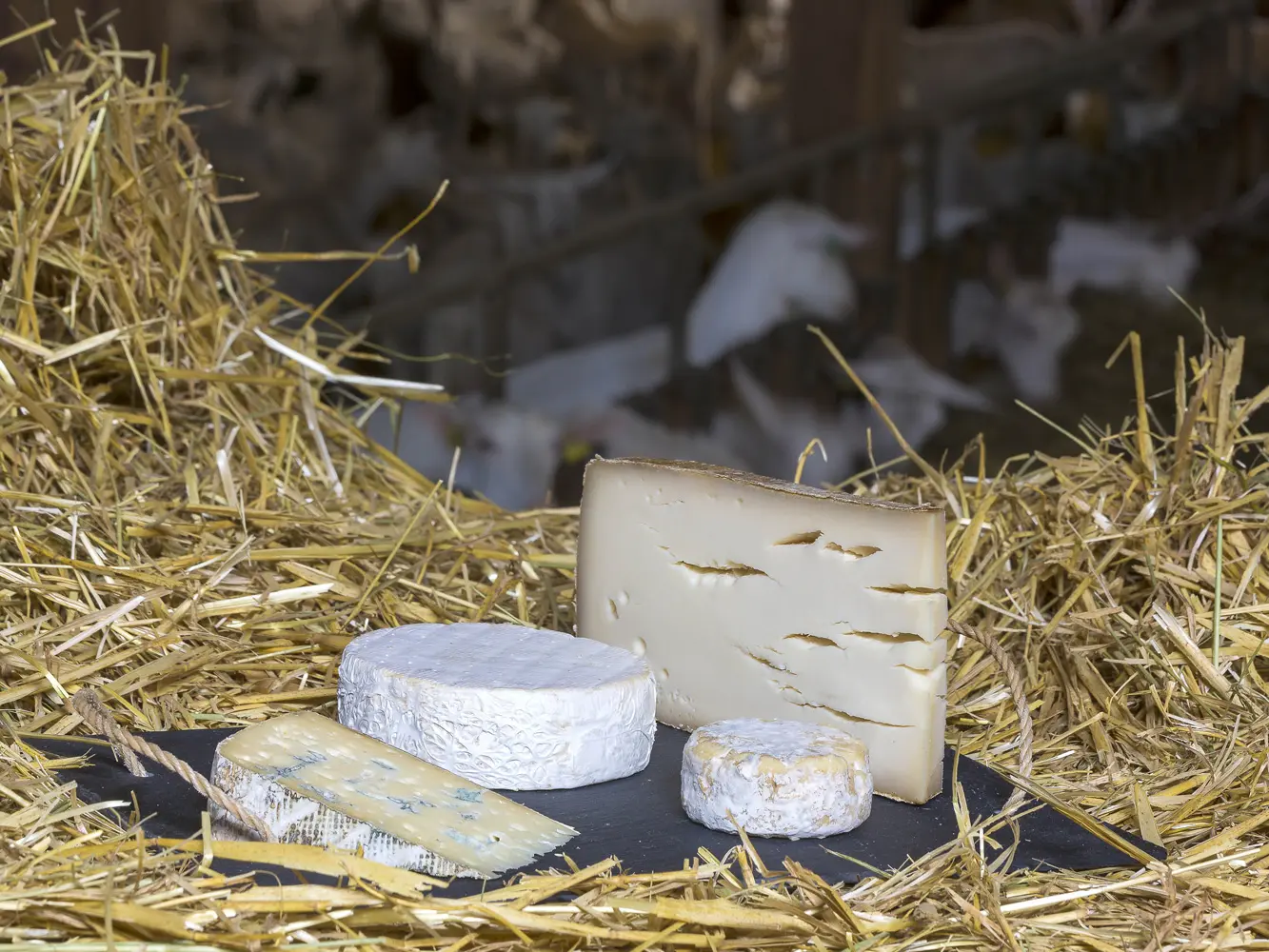 Ferme de Bois noir, Ancelle