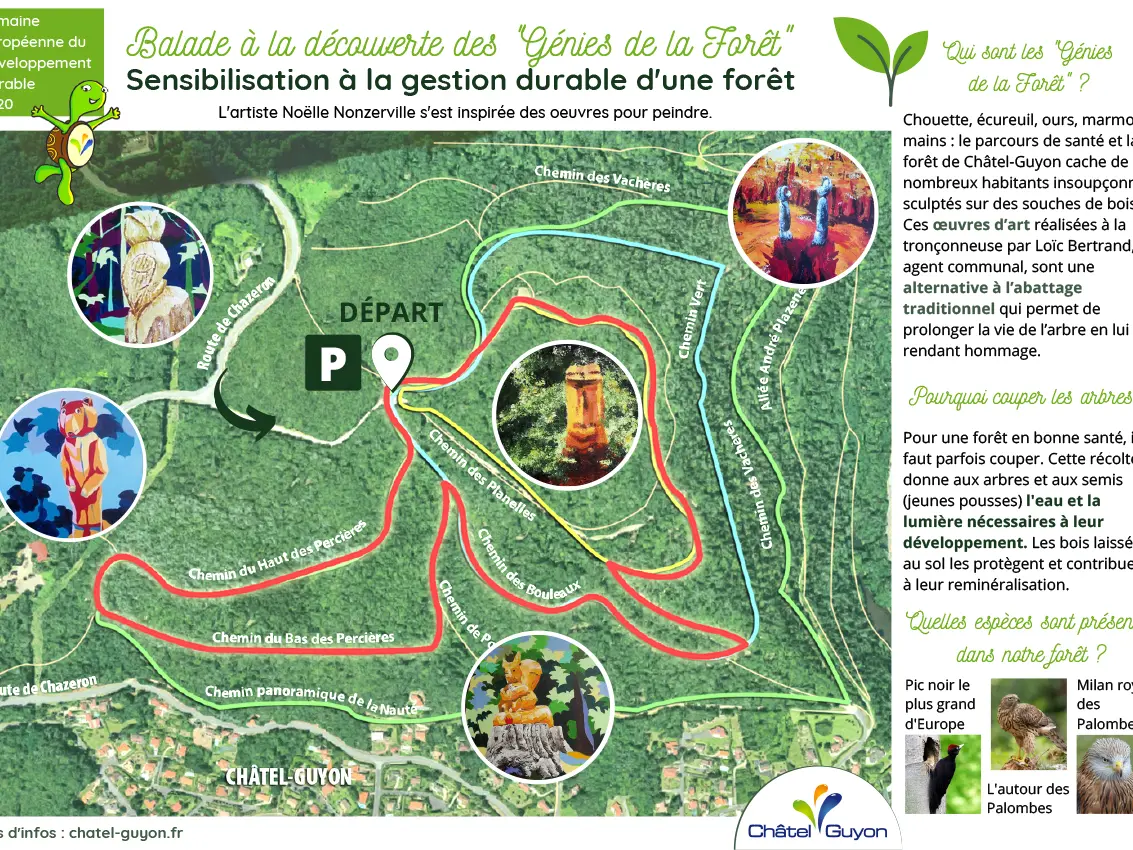 Balade découverte dans la forêt de Châtel-Guyon
