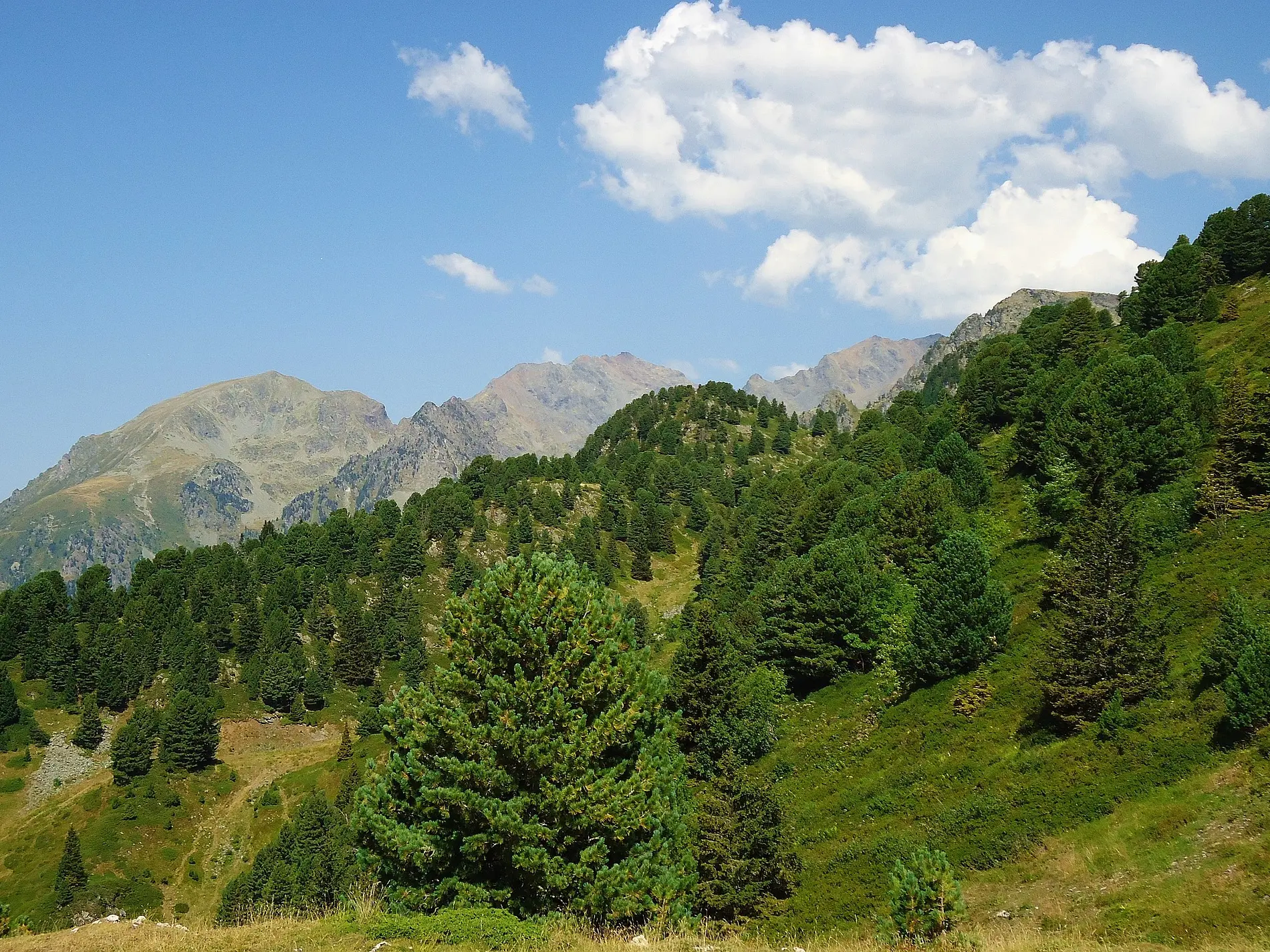 Cyclo en Belledonne