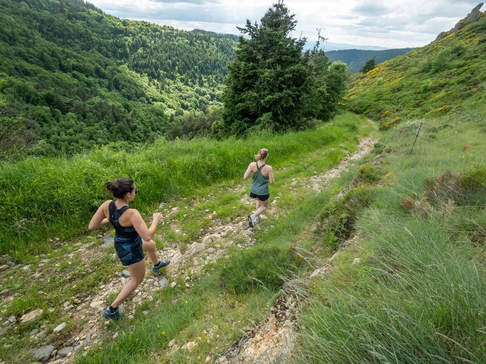Trail du Suc de Monet