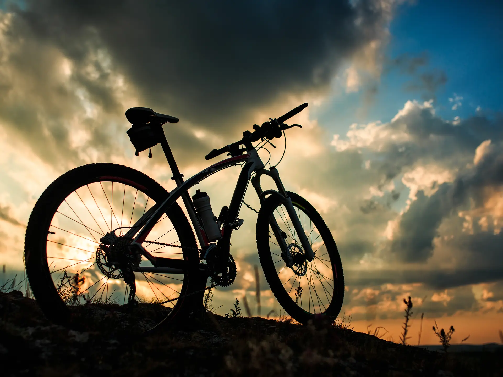 Espace Bike - Location de vélos - Isle de la Serre - Porcieu-Amblagnieu - Balcons du Dauphiné -  Nord-Isère - à moins d'une heure de Lyon