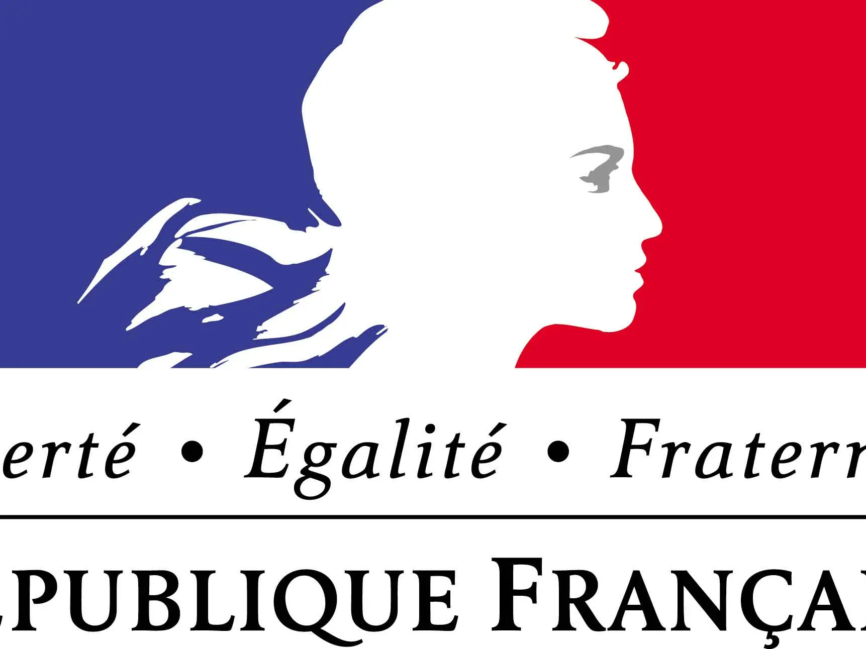 Drapeau République Française