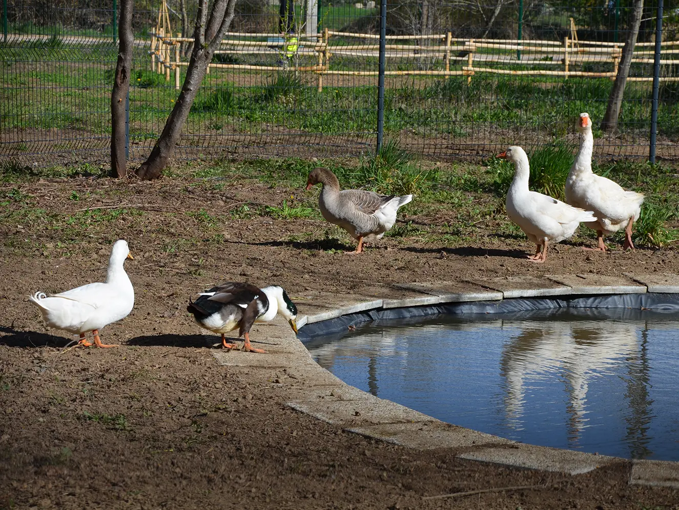 Parc naturel du Vivier - Garéoult