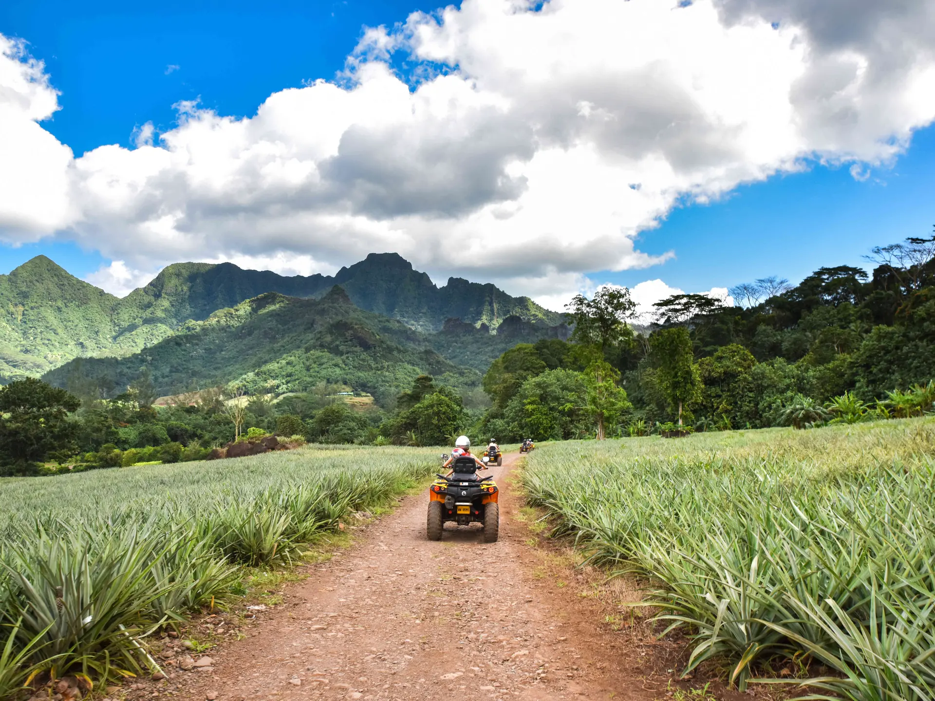 Route des Ananas