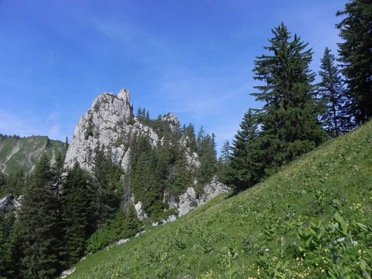 Le Col de Savalène