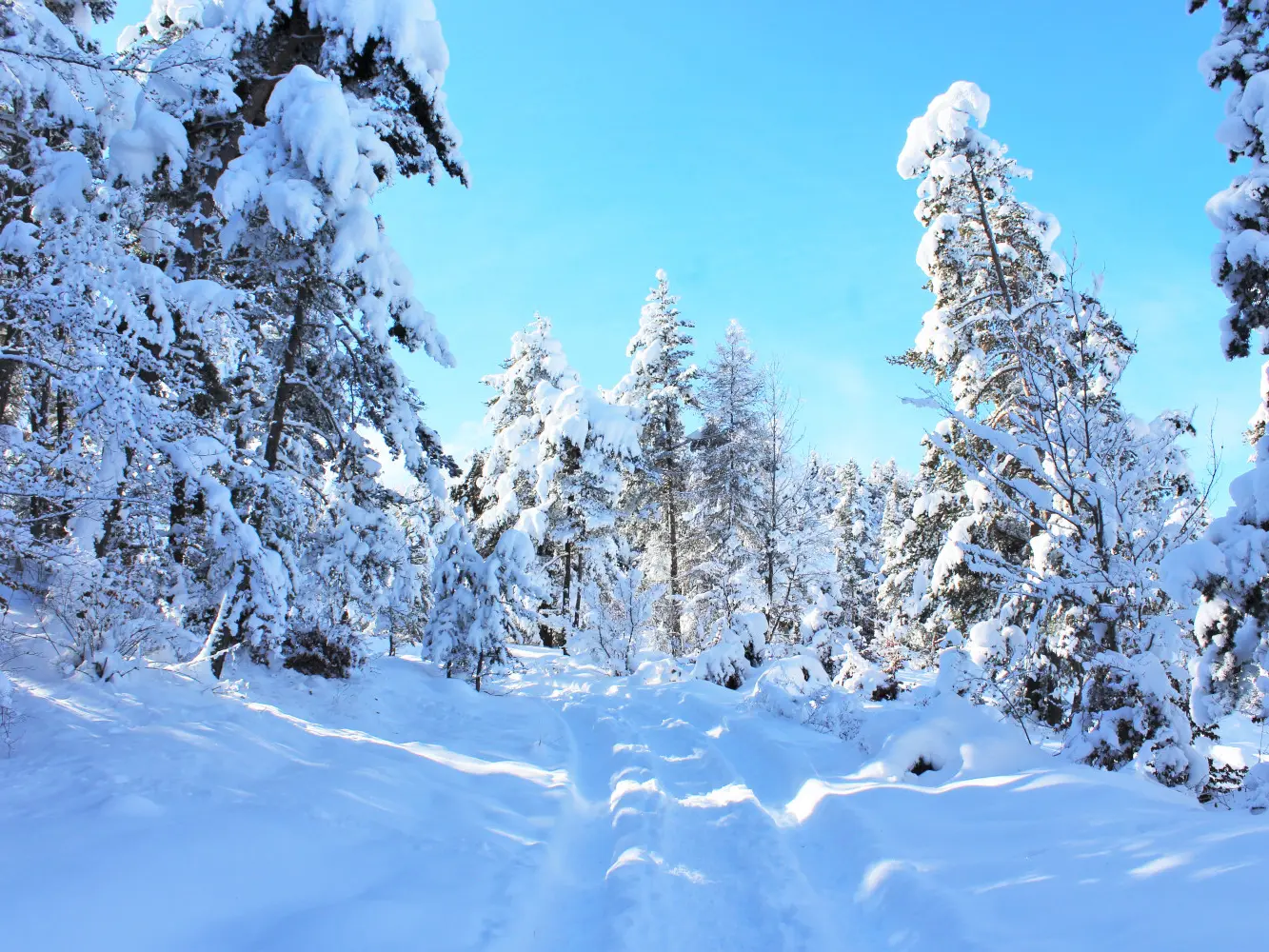 Raquettes Les Auréous, Ancelle