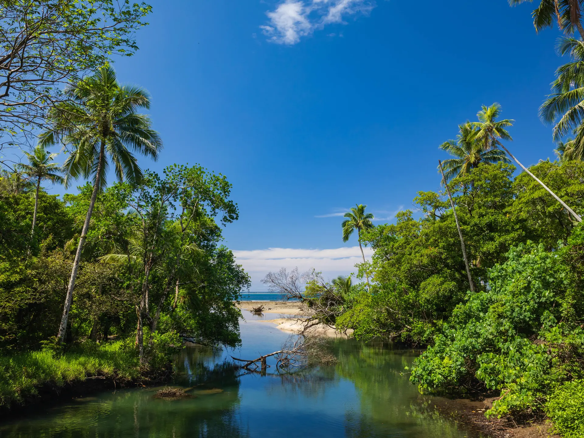 embouchure, vert, paysage, cascade de Tao, Hienghène