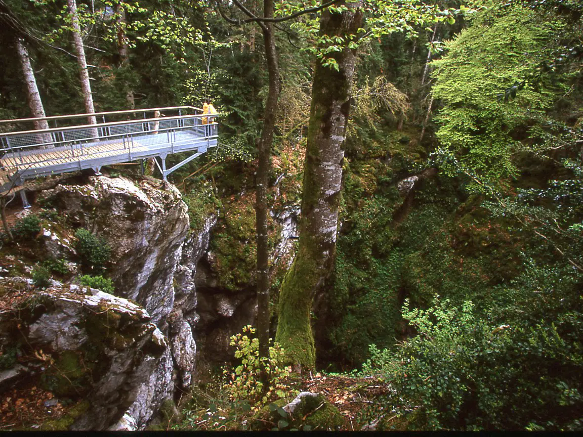 vue de la passerelle