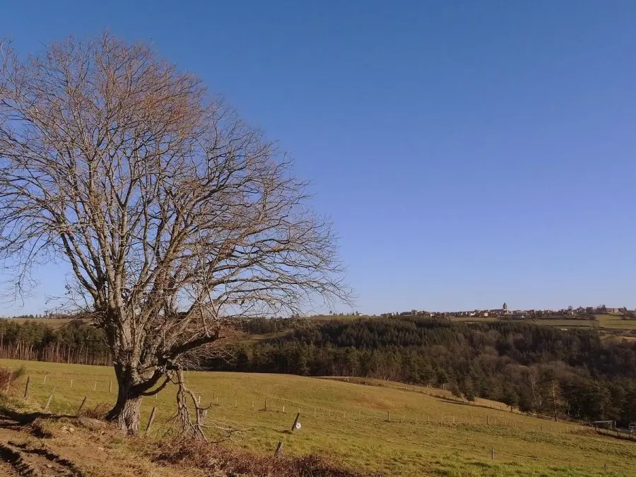 circuit le huit de rozier