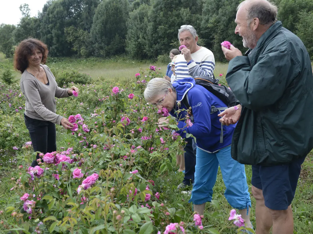 Visite des Jardins des Hautes Terres, Chaillol, Champsaur