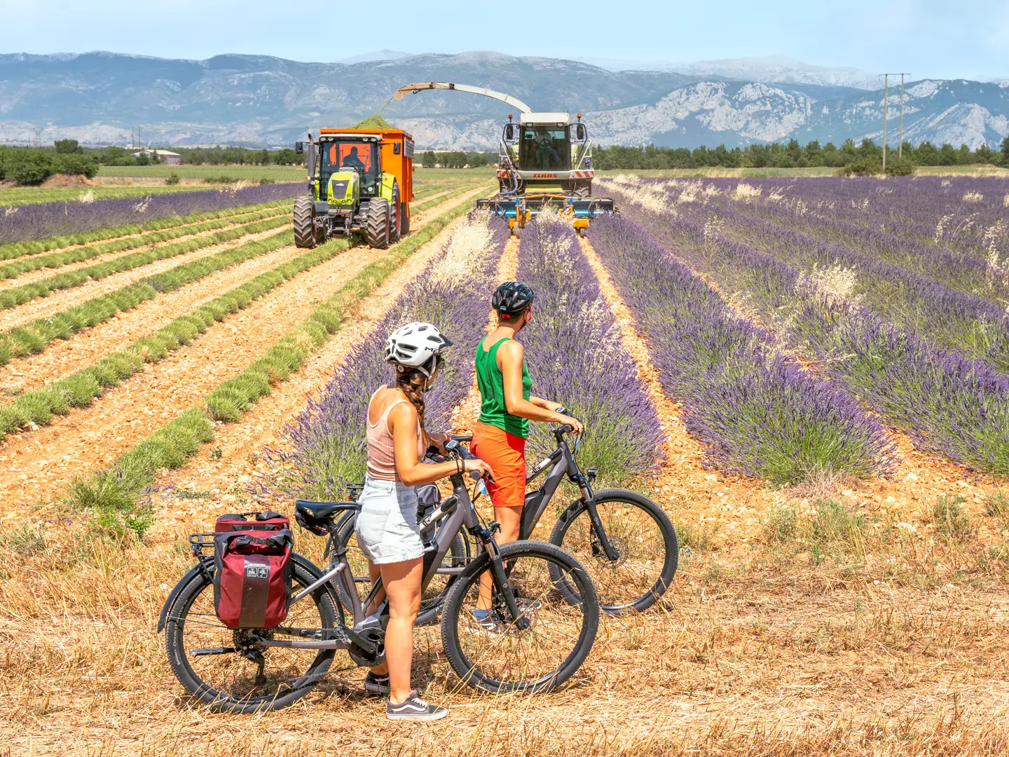 plateau de valensole