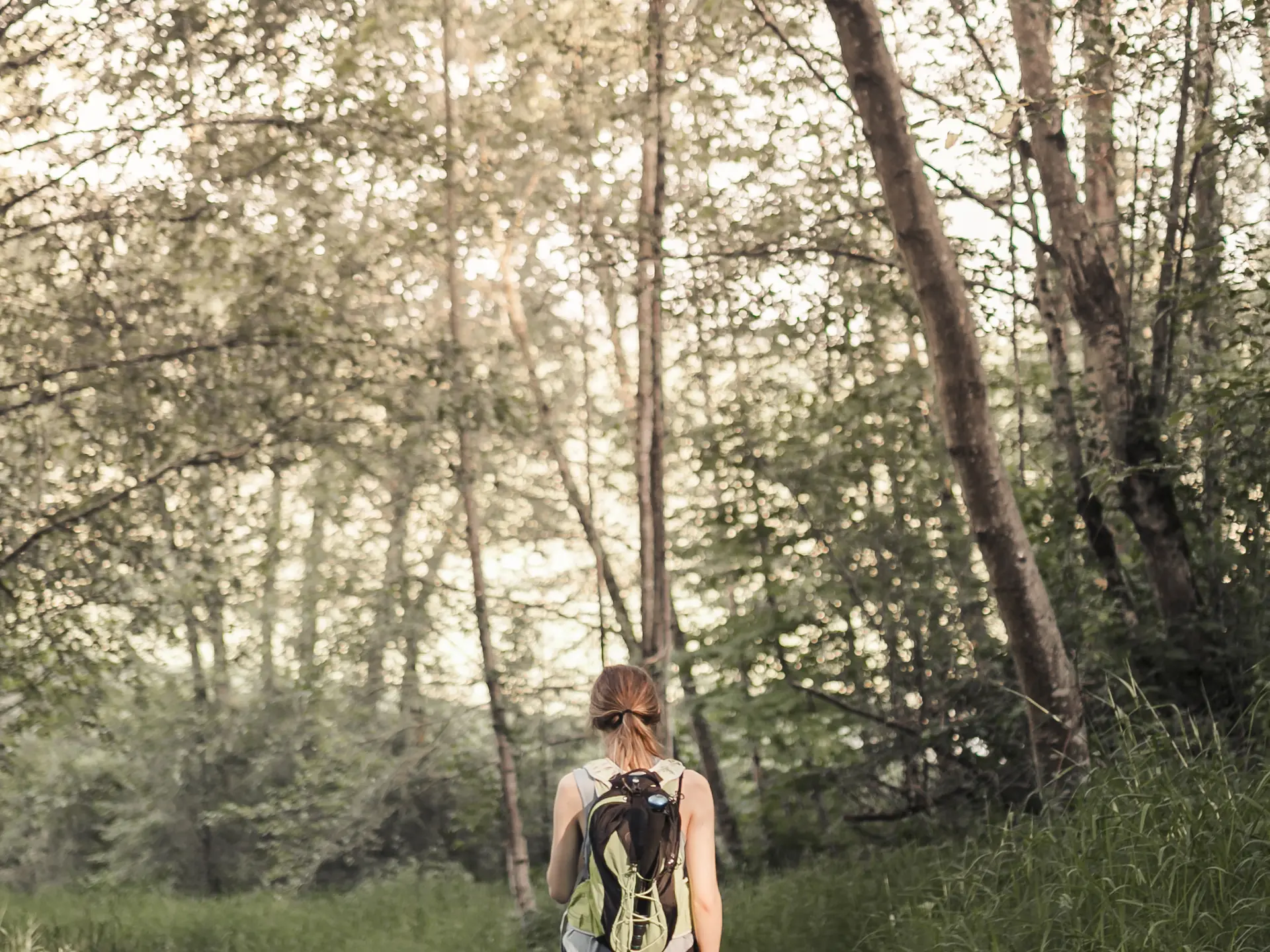 Femme marchant seule dans la forêt