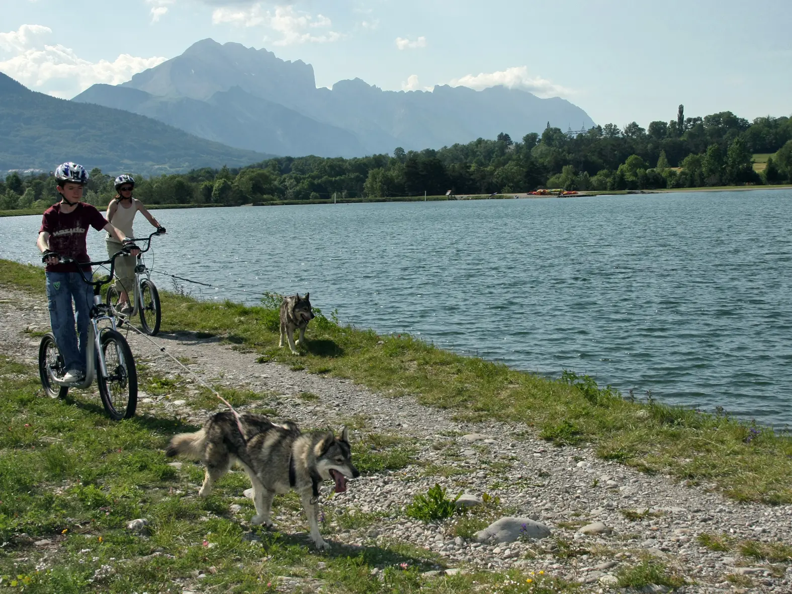 Cani-Trot' - Alpi Traineau