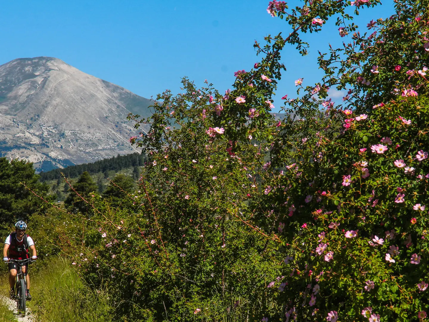 Tronçon 6 de la TransVerdon - Montée de la Montagne de Maurel