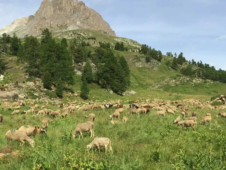 Séjour Découverte de la Montagne à Névache - L'Échaillon