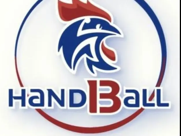 Comité 13 Handball