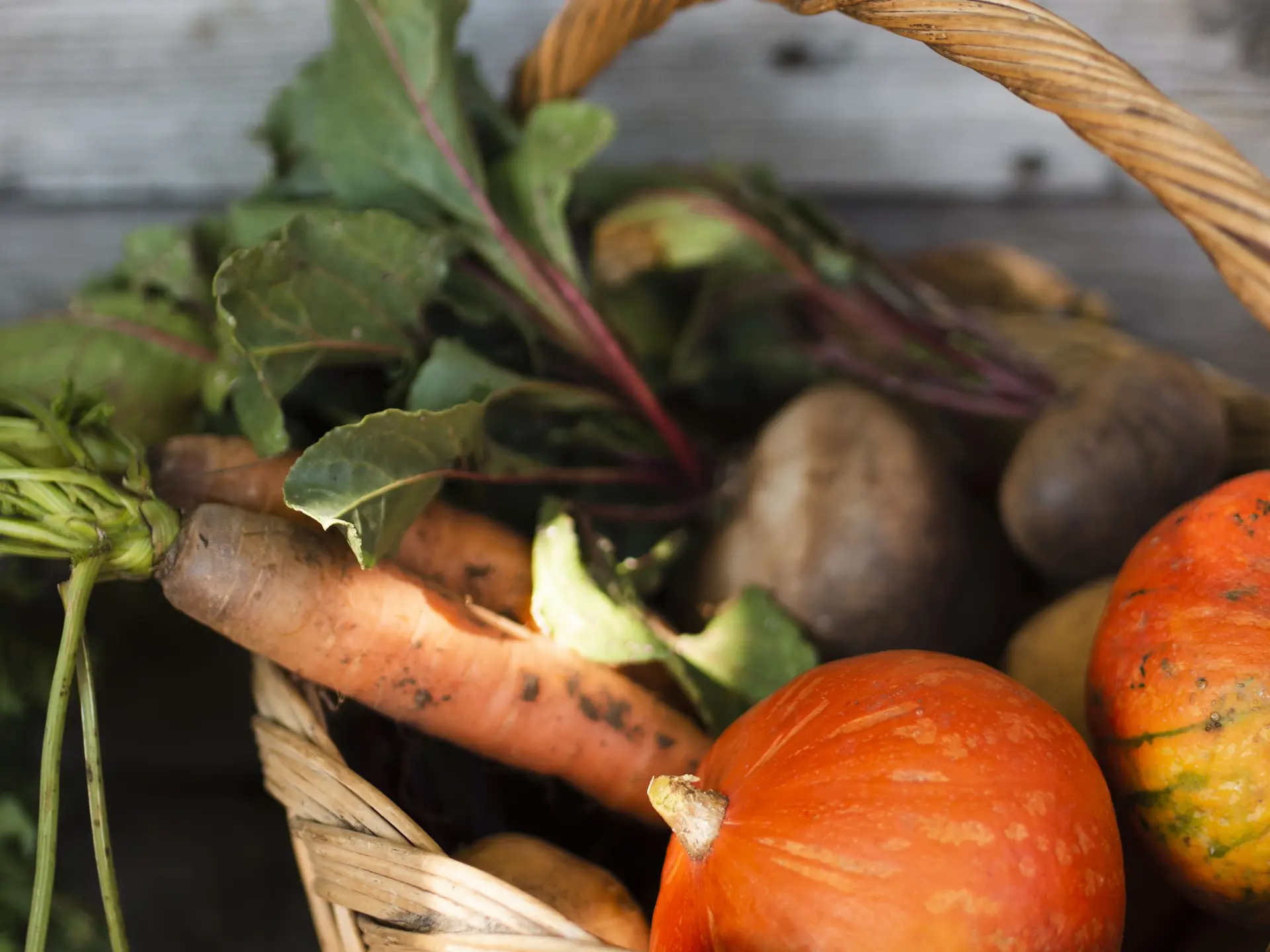 Panier en osier avec des légumes : carottes, potimarrons, betteraves...