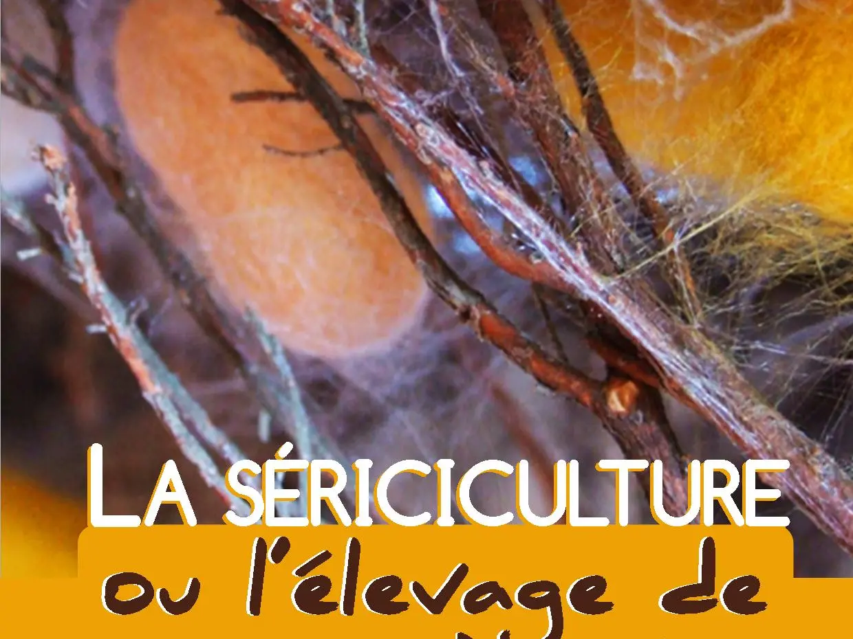 La Sériciculture ou l'élevage de vers à soie