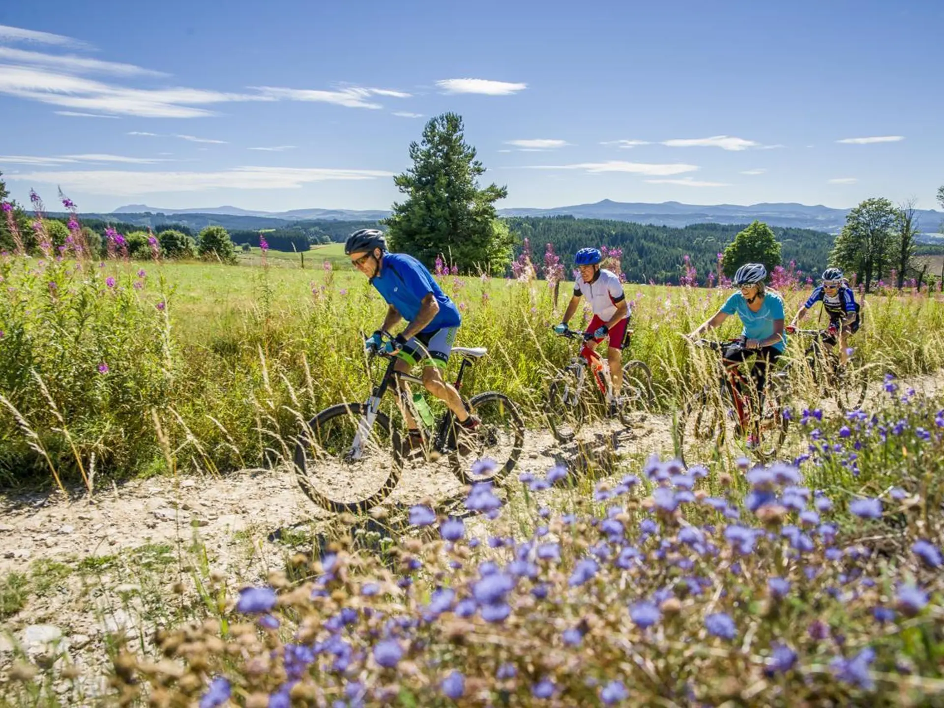 L'effort au milieu des fleurs