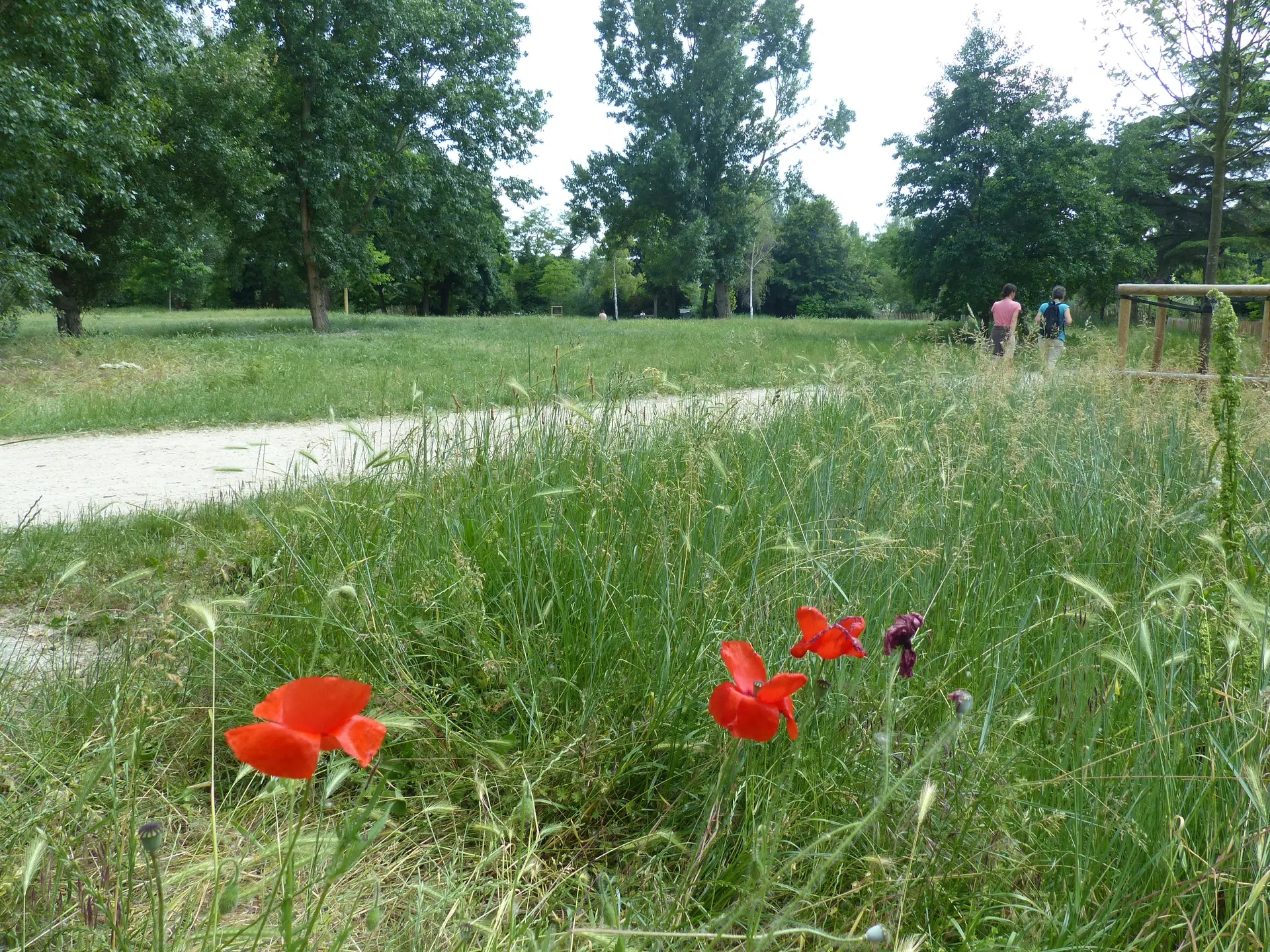 Parc de l'Ile des Impressionnistes à Chatou