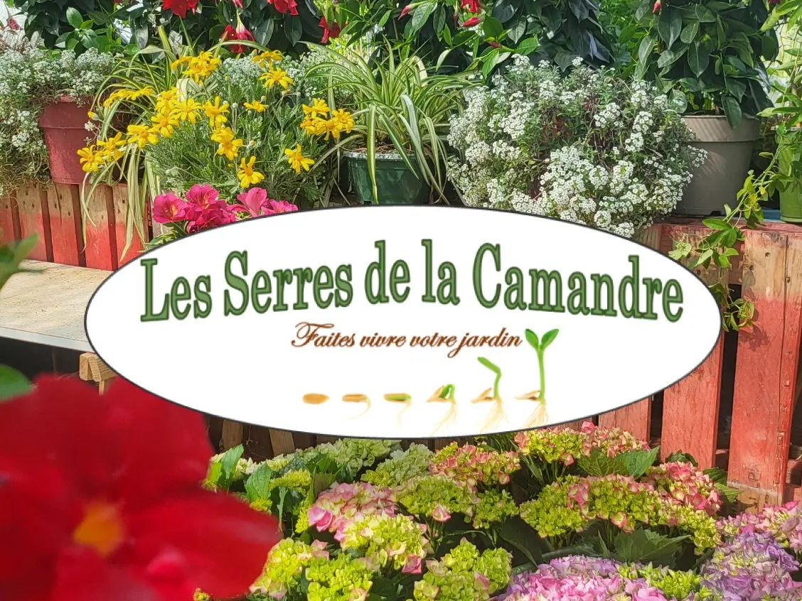 Les Serres de La Camandre_Fayence