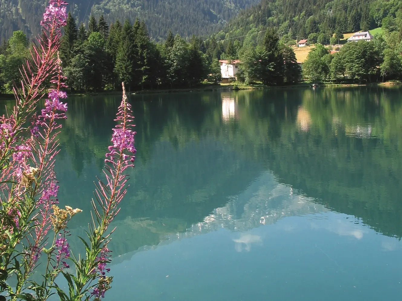 lac de Fond de France