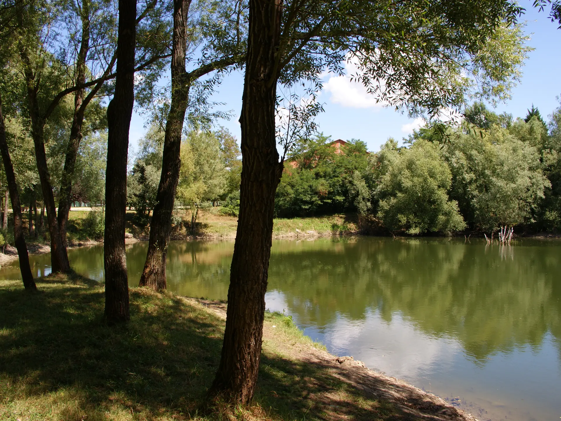 Montrebut et isnards