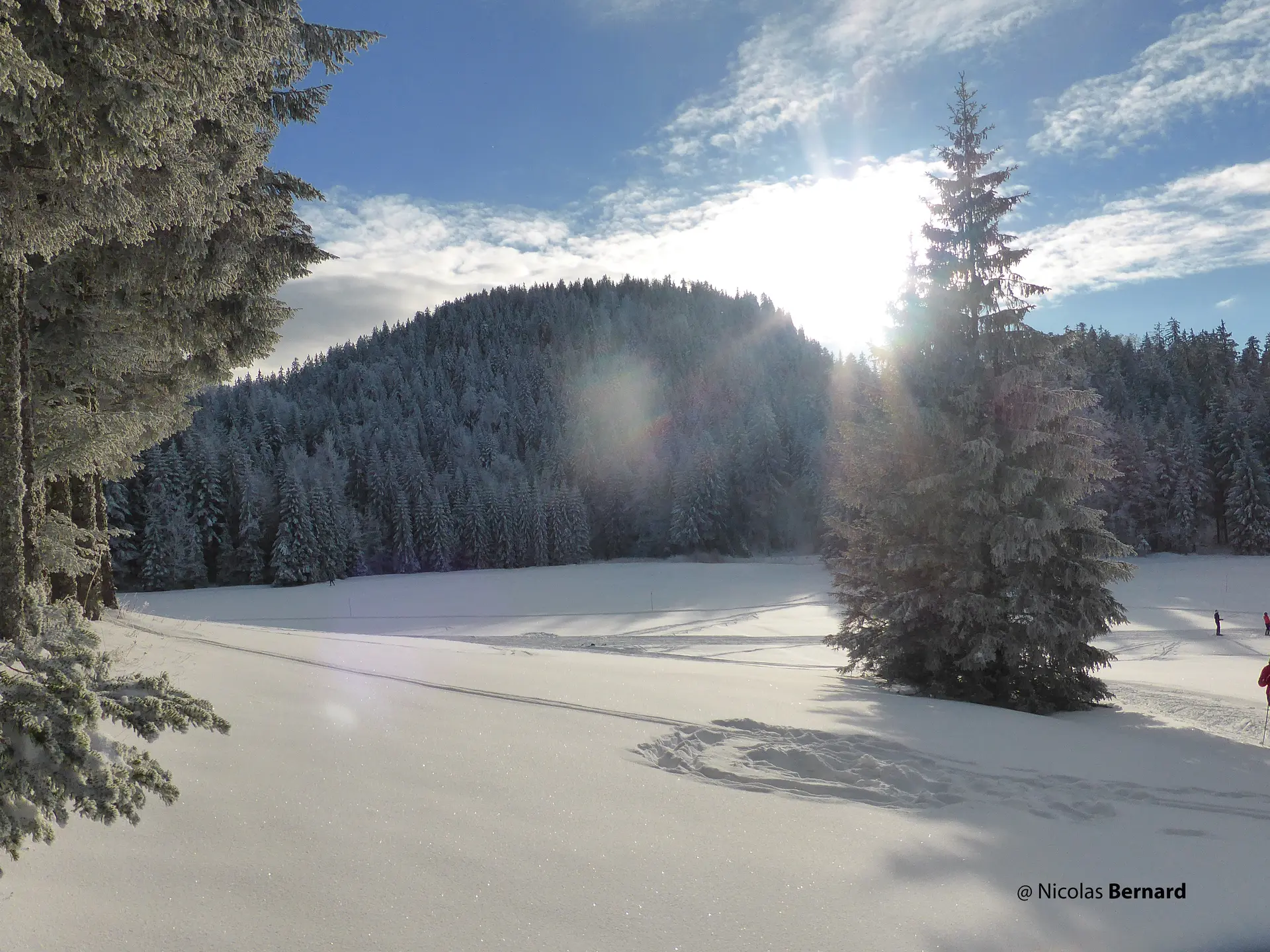 Les pistes de ski de fond