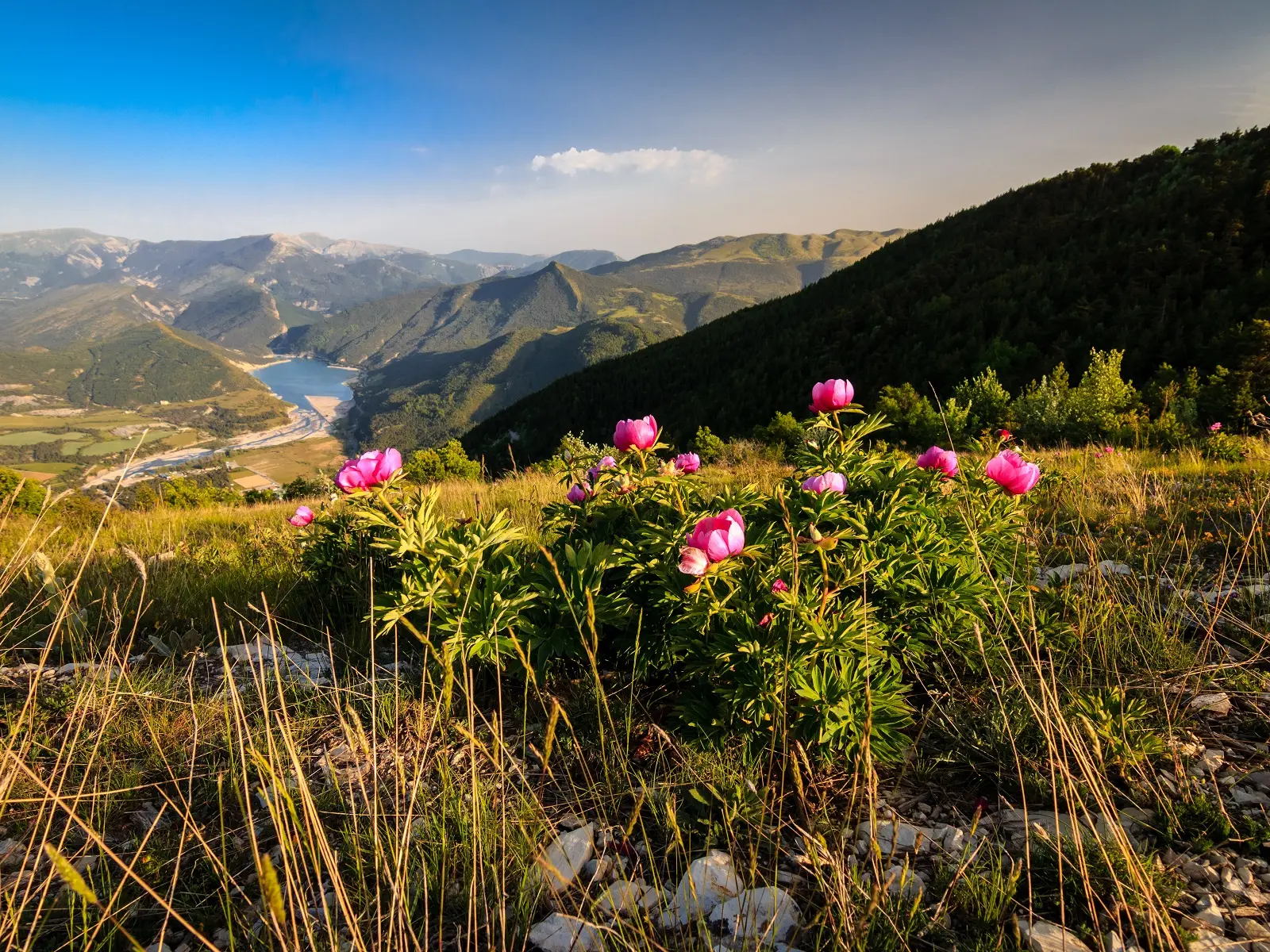 Sommet de Chalvet Saint André les Alpes