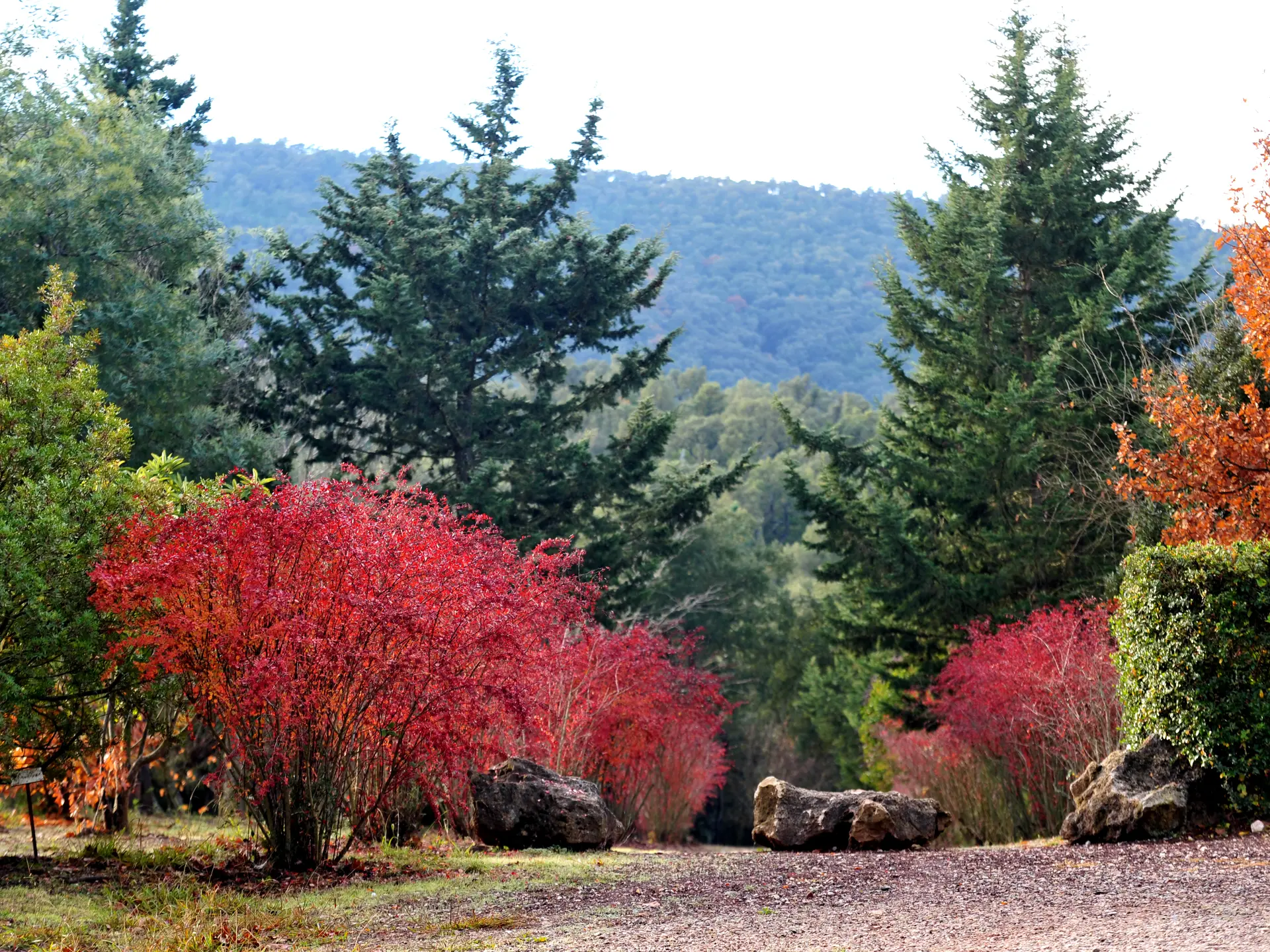 Arboretum de Pierrefeu-du-Var