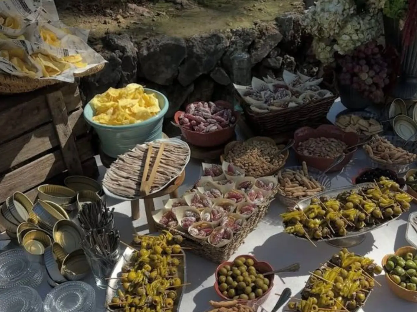 Visite des vignes et banquet dans les oliviers au Château la Valetanne