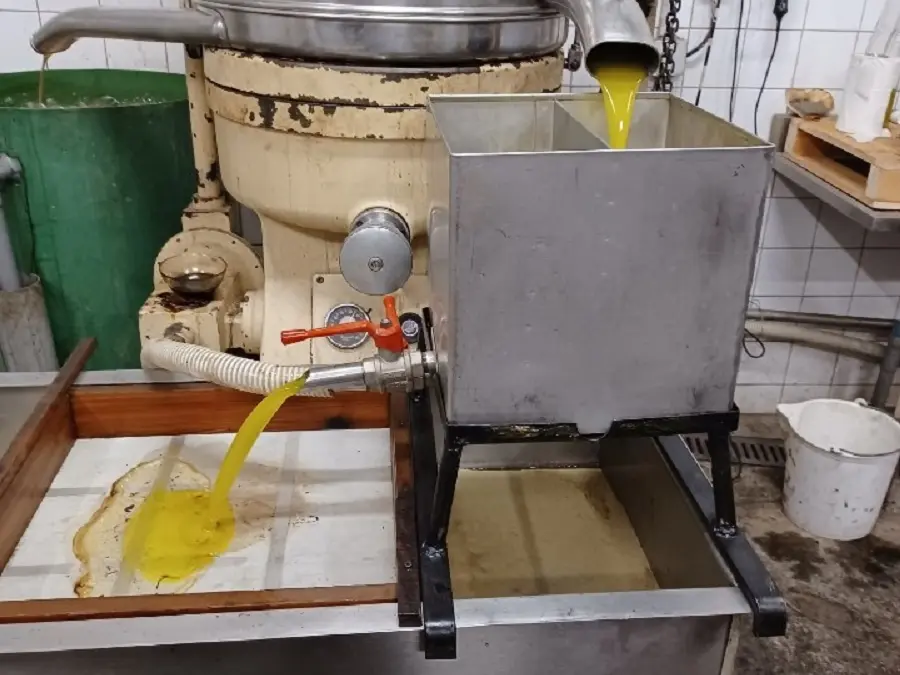 extraction of olive oil