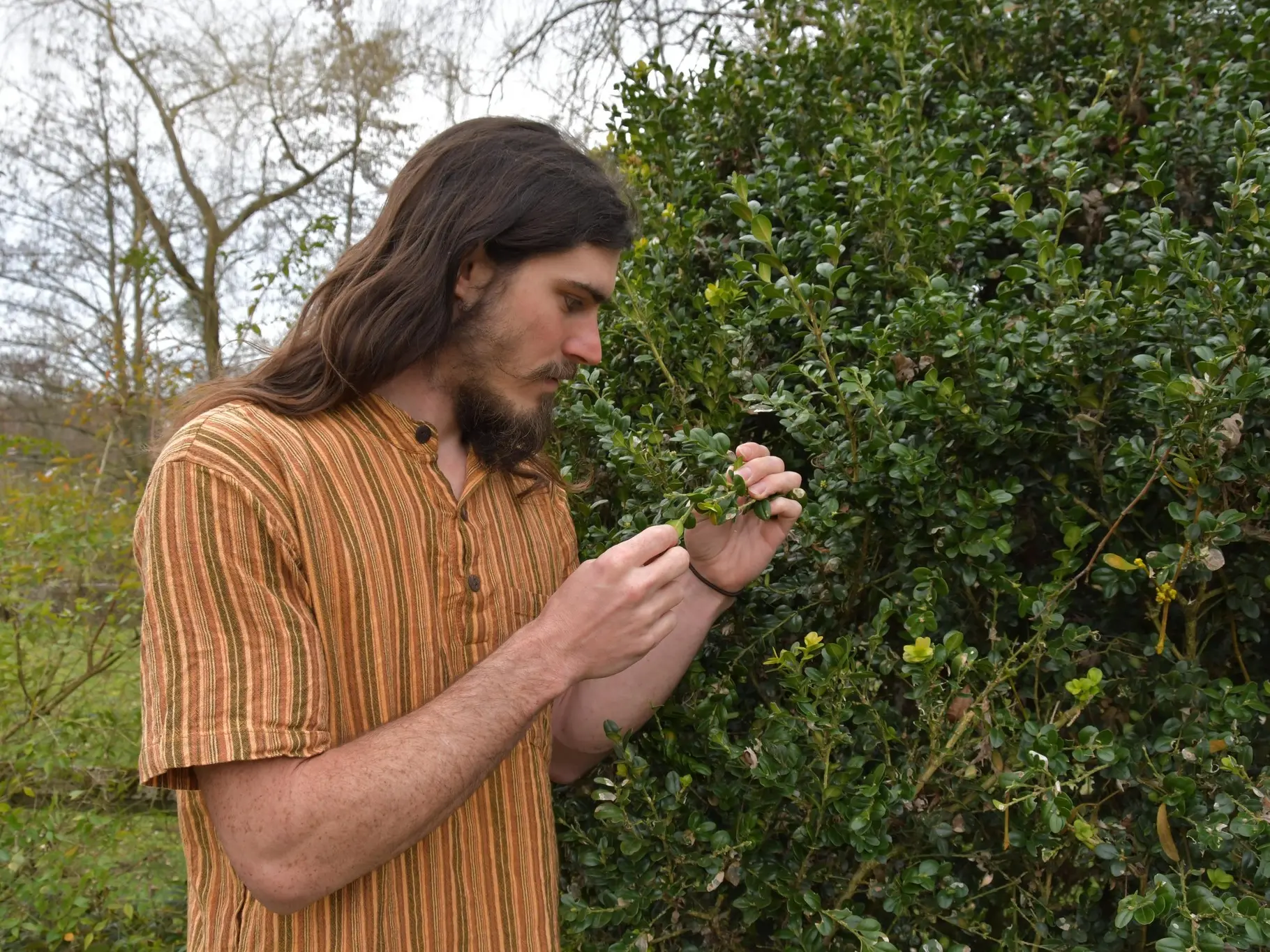 Atelier cueillette et cuisine sauvage : une journée nature et gourmande_Arcon