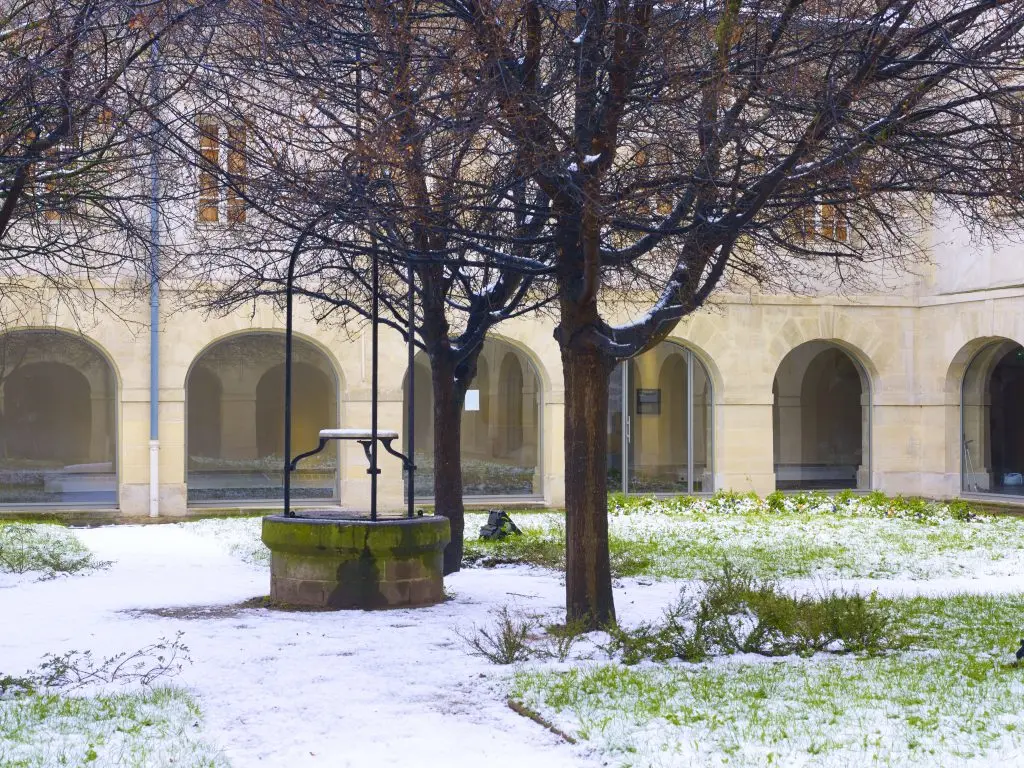 Atelier en famille - Vive le vent d’hiver