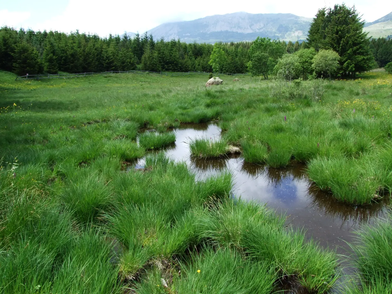 Sentier découverte des sagnes, vallée du Champsaur