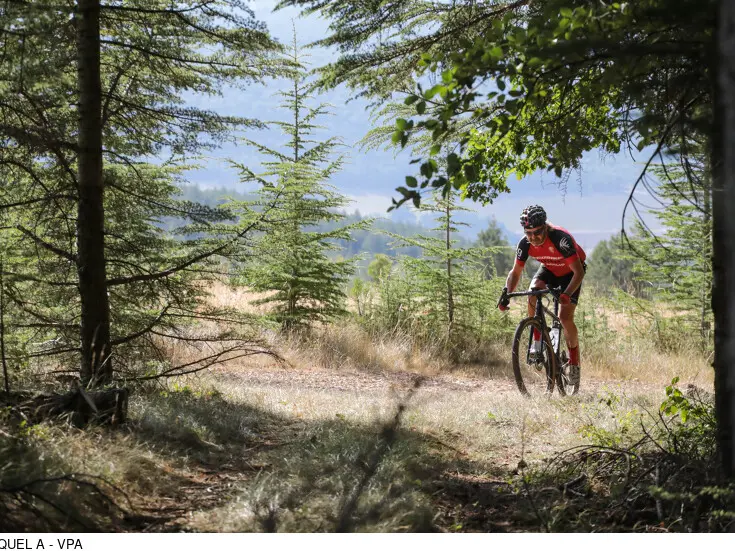 Gravel 10 LE ventoux face Nord