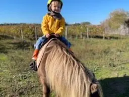 Balade à dos de poney, même pour les petits
