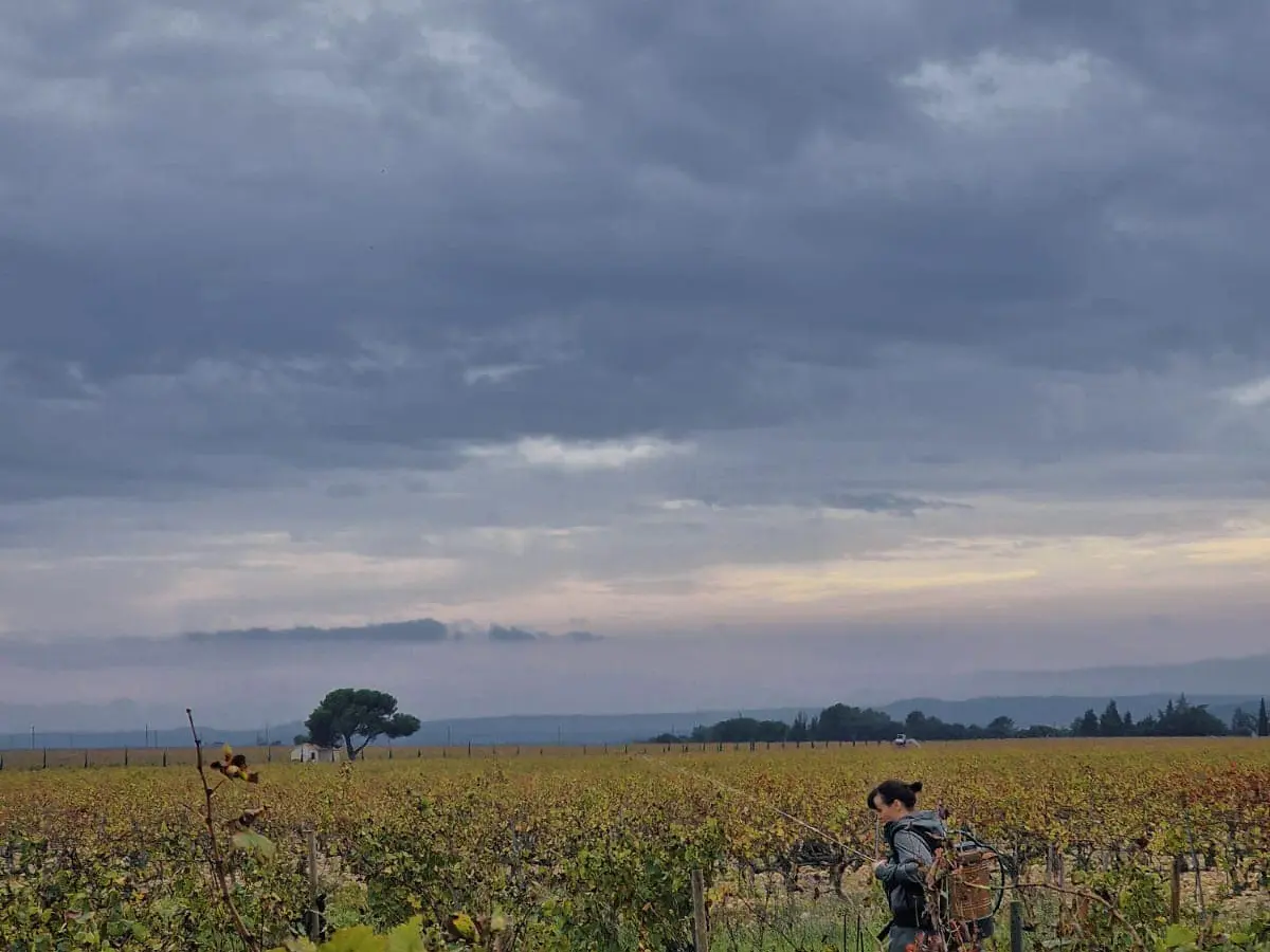 Domaine Elodie Jaume