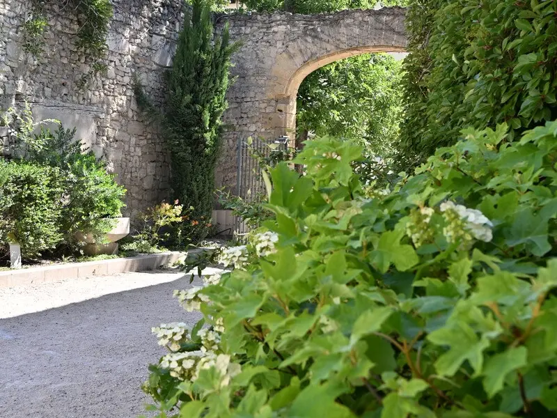 Jardin des Carmes_Avignon