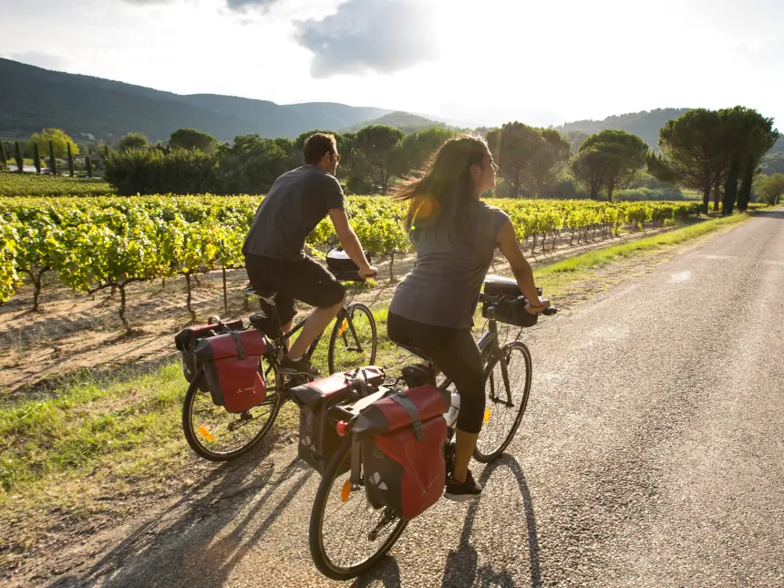 Vélo le long du vignoble