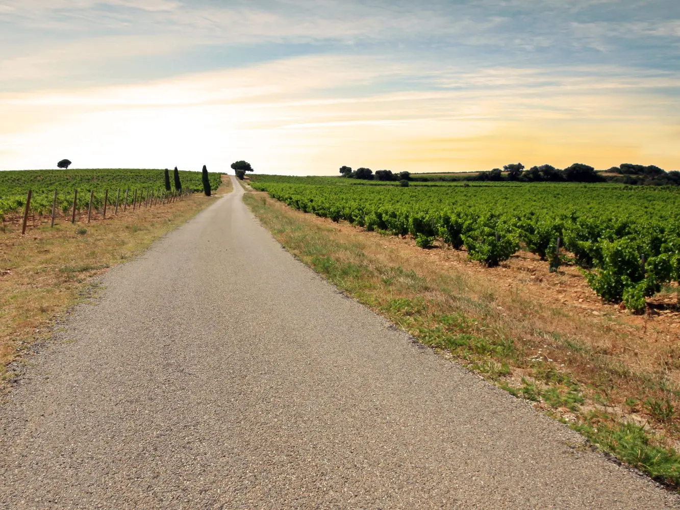 Route des Côtes du Rhône