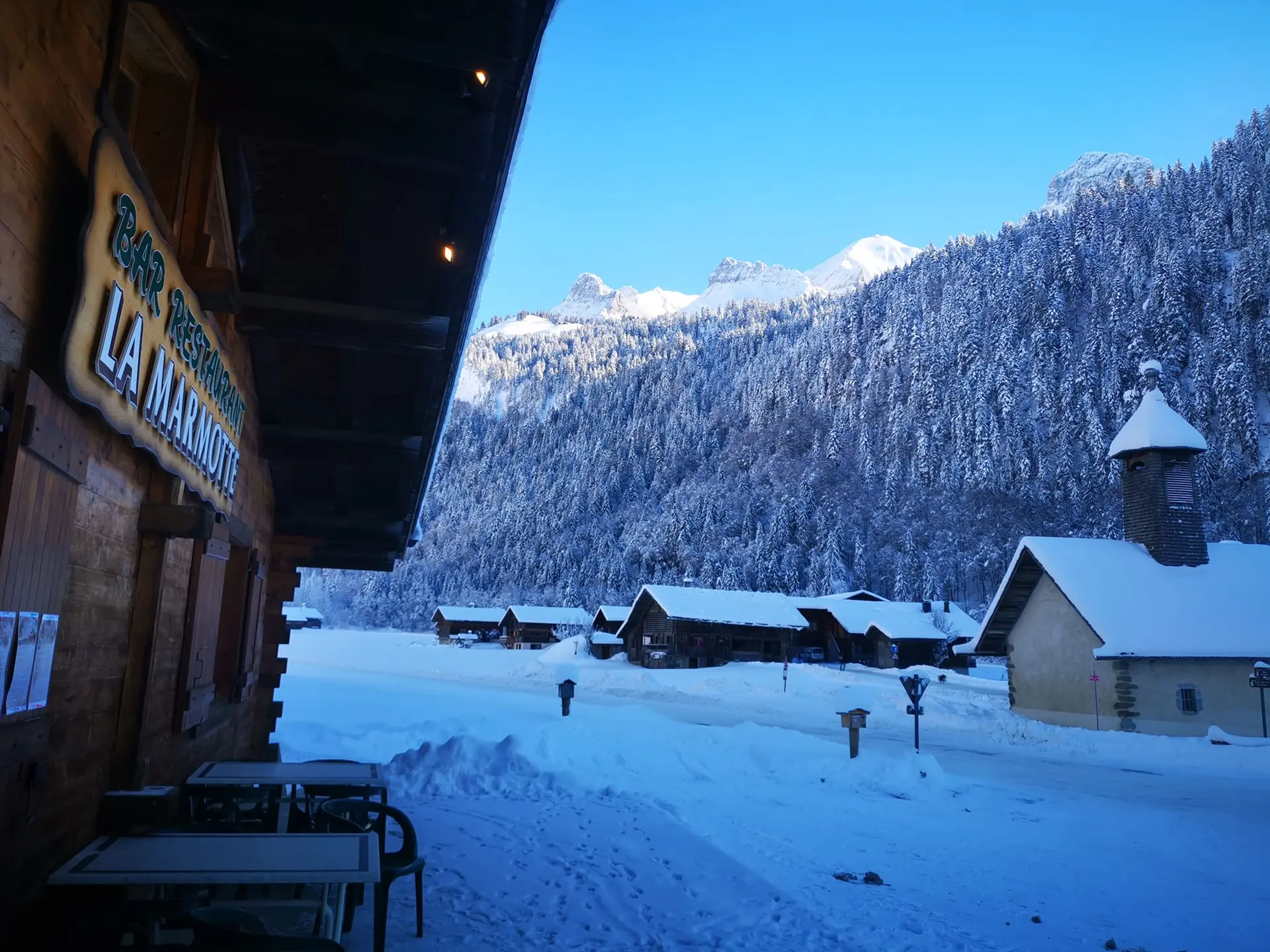 la marmotte