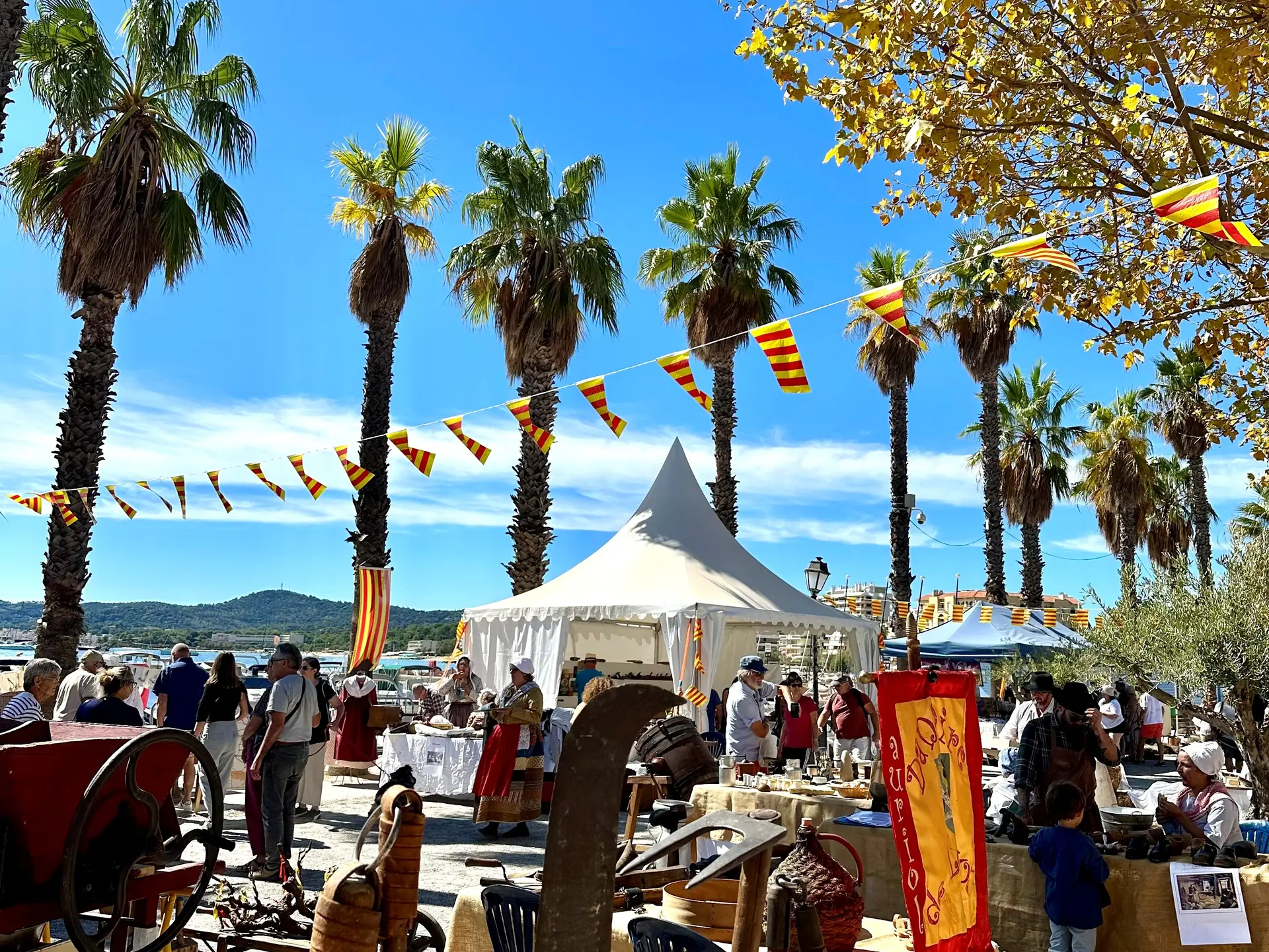 Couleur Provence - Le Lavandou
