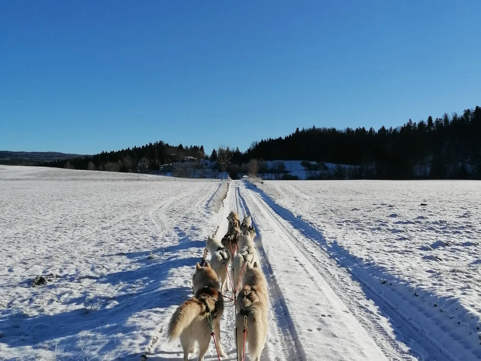 ferme des resilients