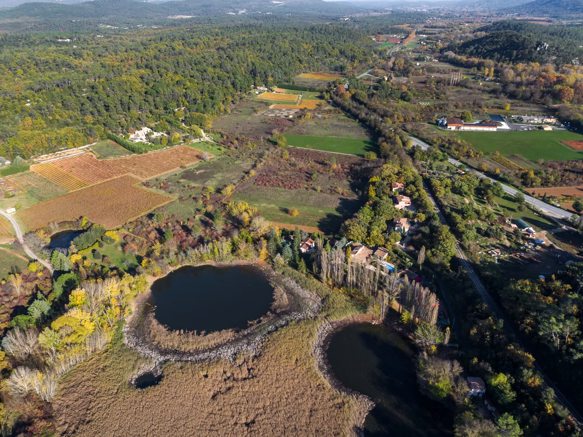 Étang de Tourves_Tourves