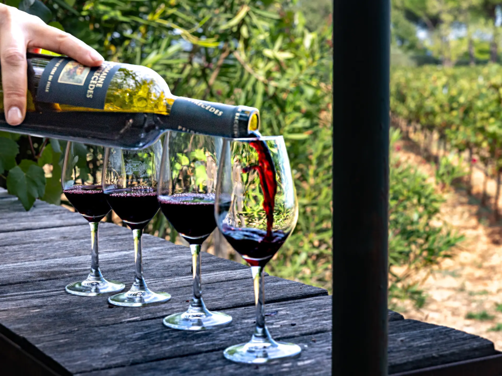 Expérience œnophile au Domaine de Peirecèdes à Cuers