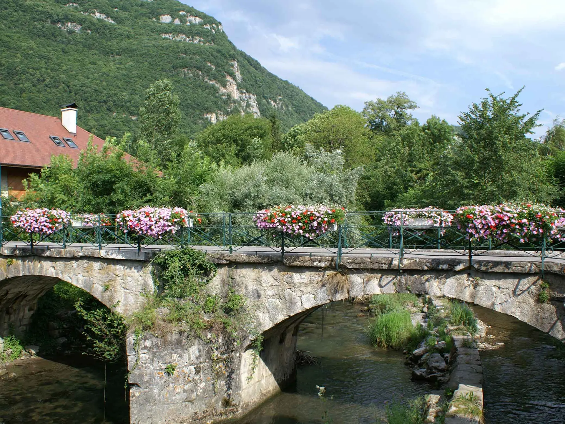Vue du Pont de Verthier en été